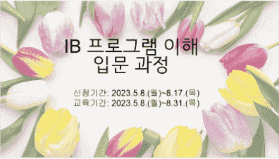 (상시) IB 프로그램 이해 입문 과정 썸네일 이미지